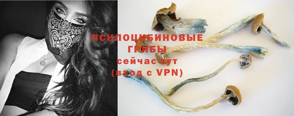 ешки Каменка