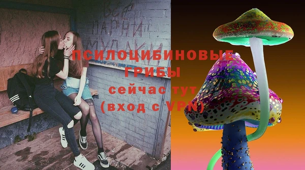 ГАЛЛЮЦИНОГЕННЫЕ ГРИБЫ Каменногорск