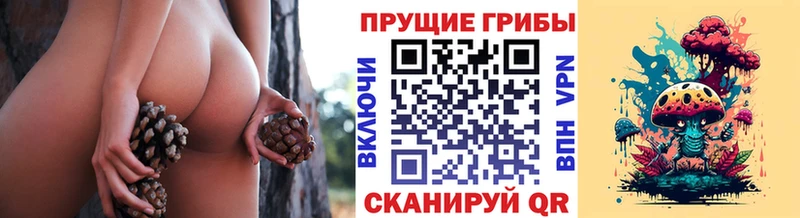 Купить где  Верхнеуральск  Псилоцибиновые грибы Magic Shrooms 
